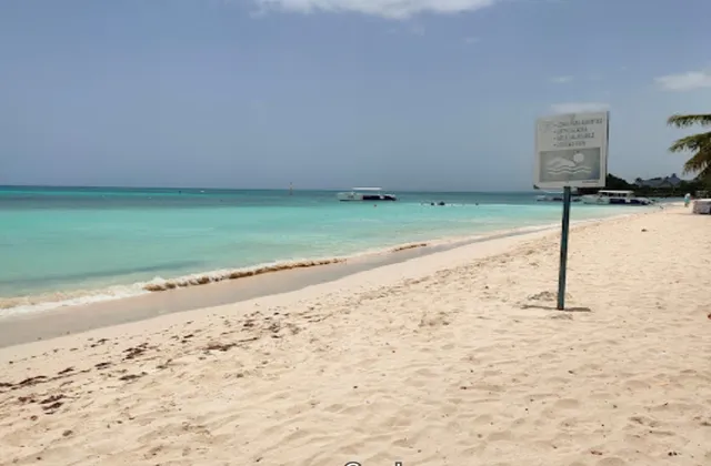Tropical Beach Bayahibe Playa